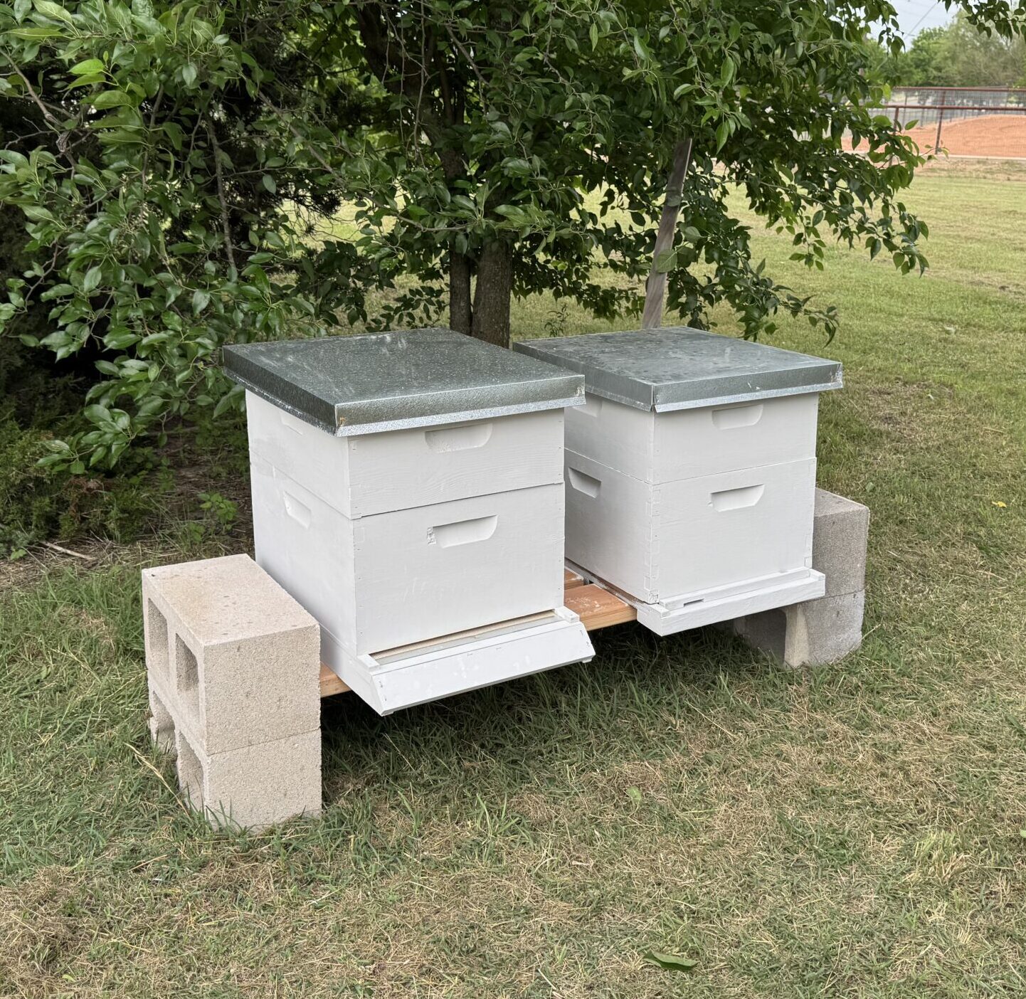 Hive Boxes